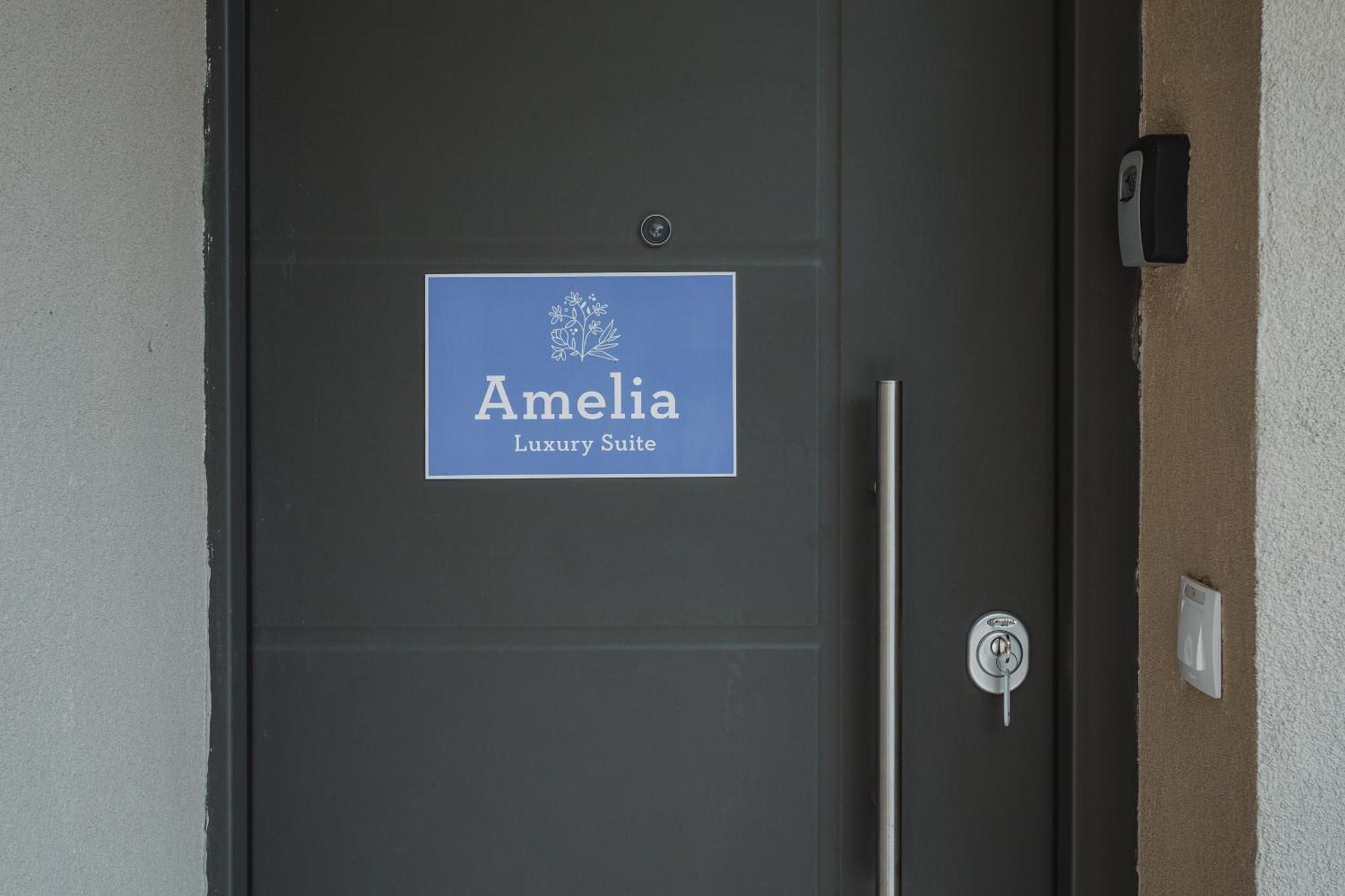 Amelia Luxury Suite 尼基亚娜 外观 照片